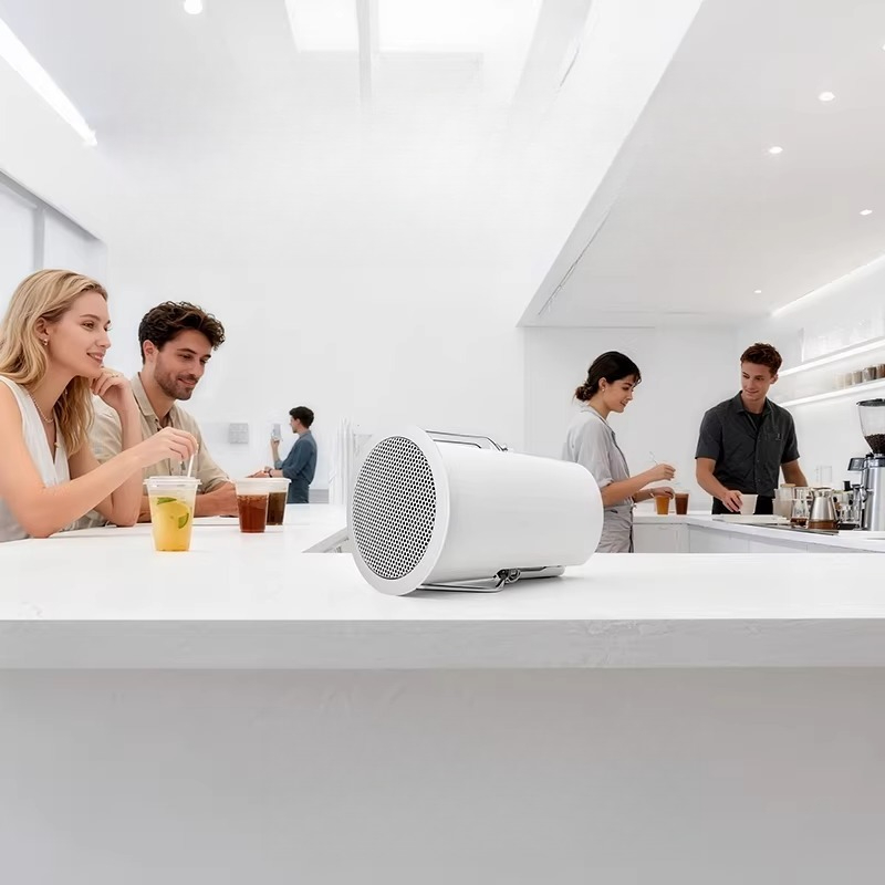 Ceiling audio, embedded speake - Audio Music Store review and price