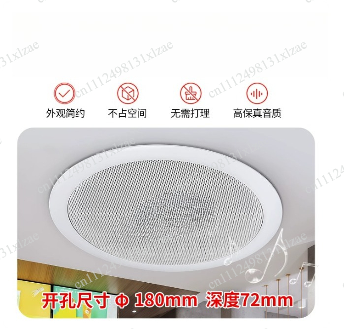 TD202 ceiling speaker ceiling  - Audio Music Store review and price