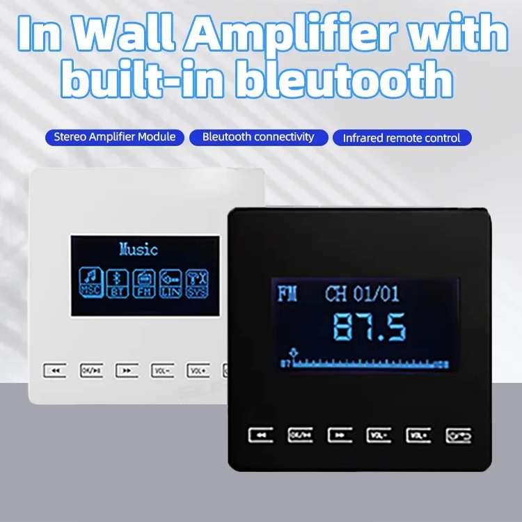 Mini Bluetooth Amplifier Wall  - Audio Music Store review and price